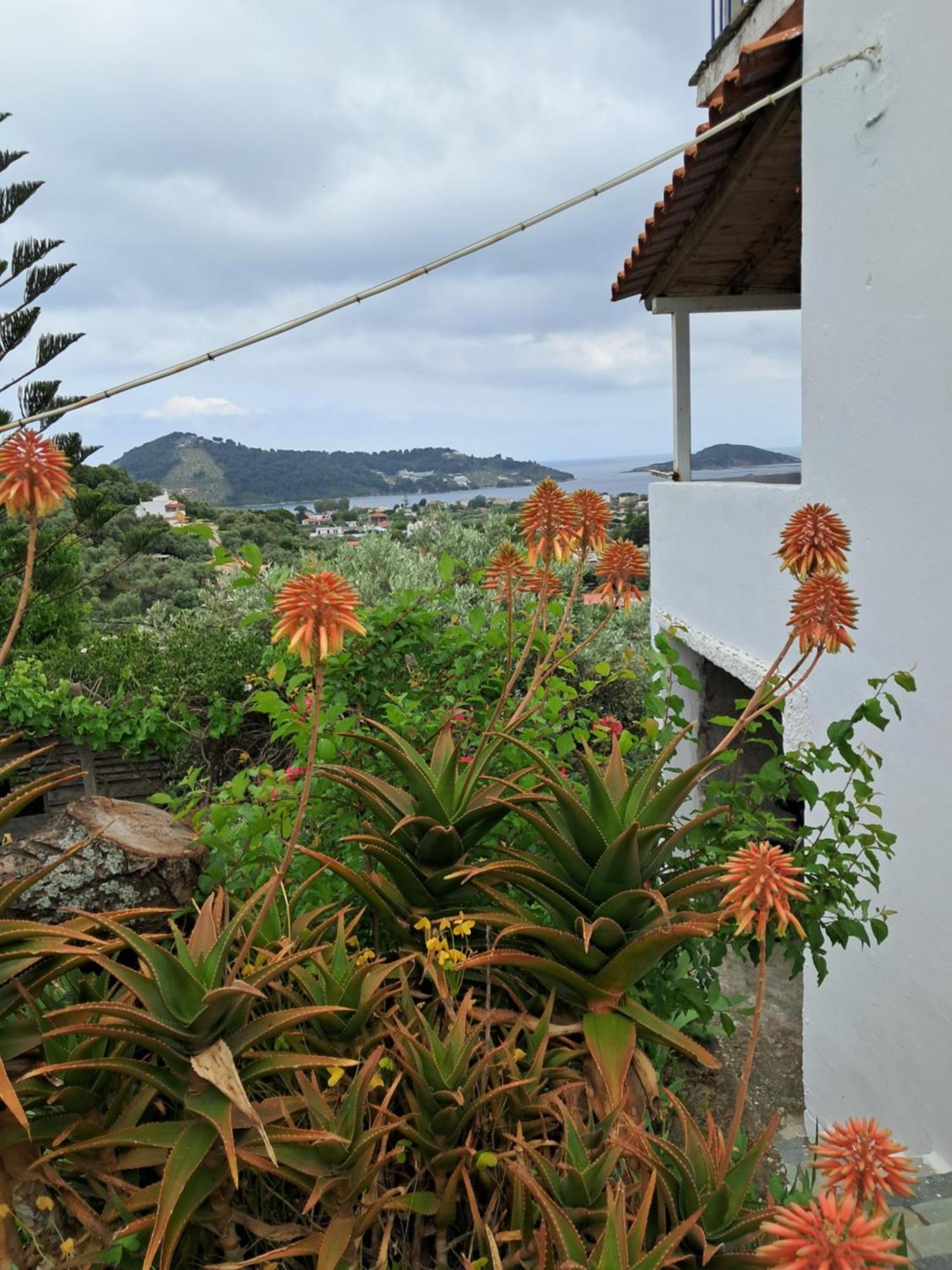 Camelia studios Città di Skiathos Esterno foto